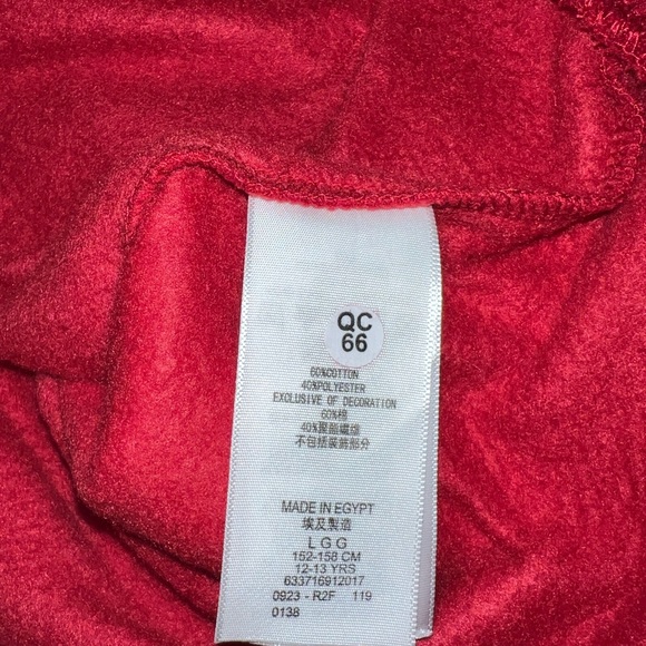 BOY’S RED LEVI'S LOGO FLEECE HOODIE (L) - Picture 9 of 11